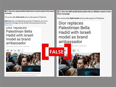 does dior support palestine or israel